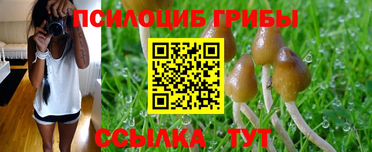 Ноябрьск  Галлюциногенные грибы Magic Shrooms  купить закладку  Вход с VPN 